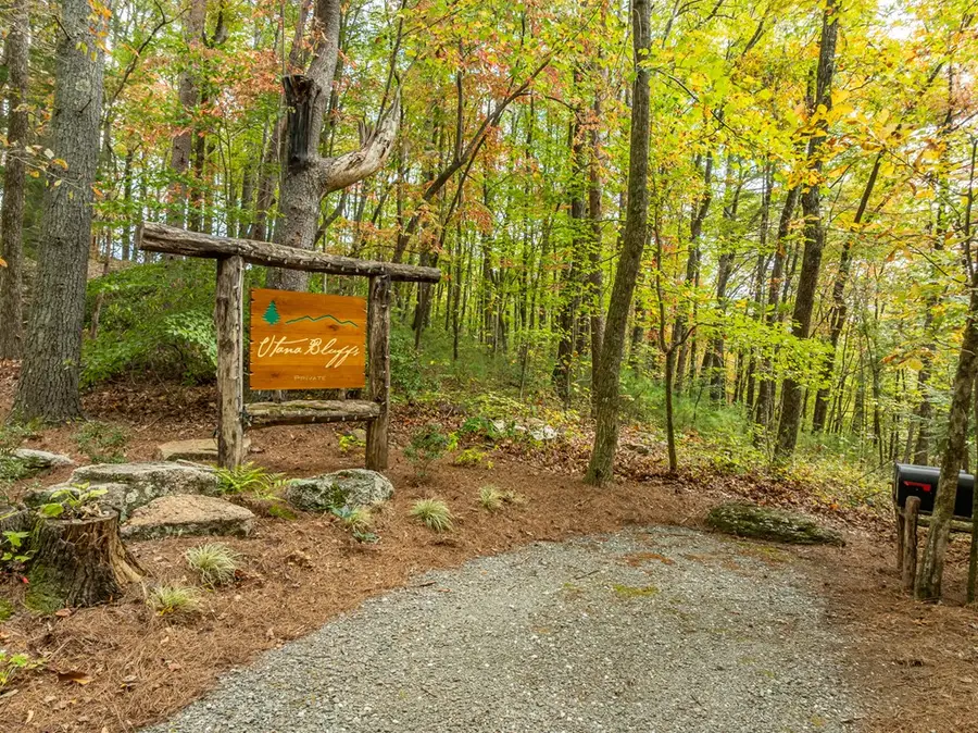 Lot 1 Chief Whitetails Road, Ellijay, GA 30540 - #2