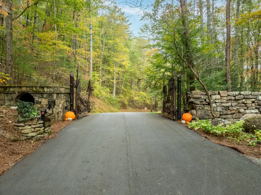 Lot 1 Chief Whitetails Road, Ellijay, GA 30540 - #3