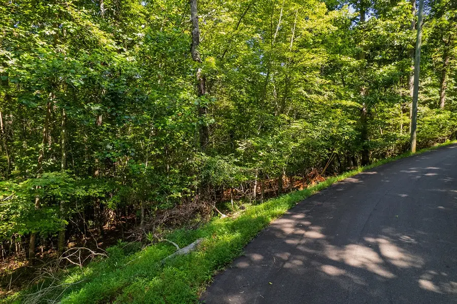 Lot 1164 Spalding Circle, Ellijay, GA 30540 - #2