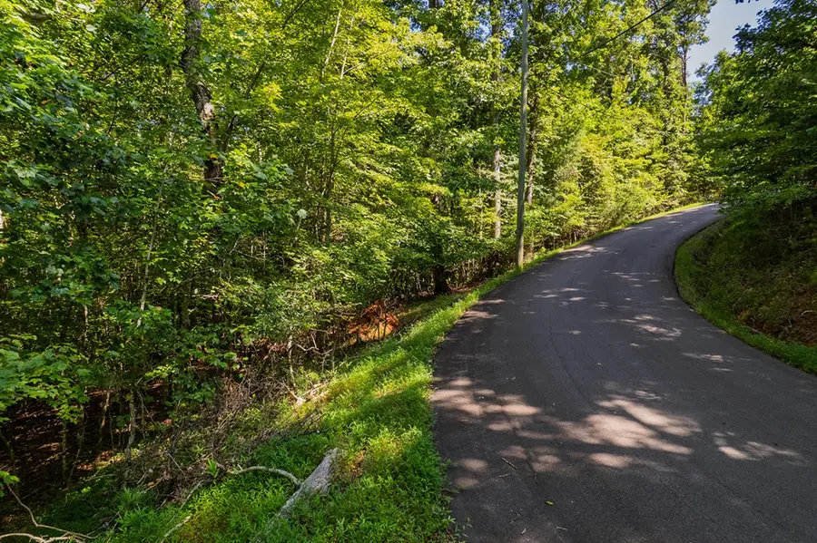 Lot 1164 Spalding Circle, Ellijay, GA 30540 - #3