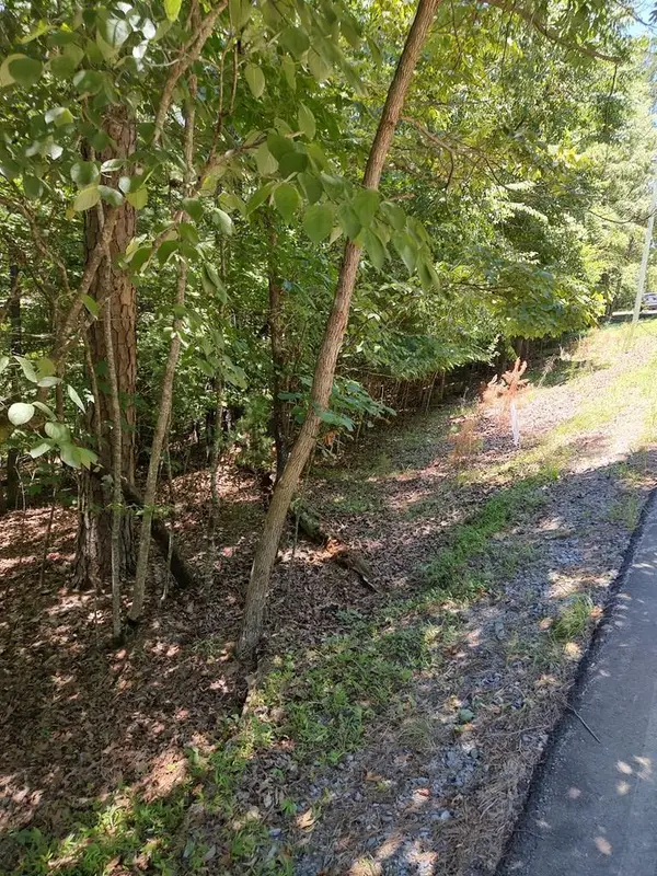 Lot 853 Matrix Lane, Ellijay, GA 30540