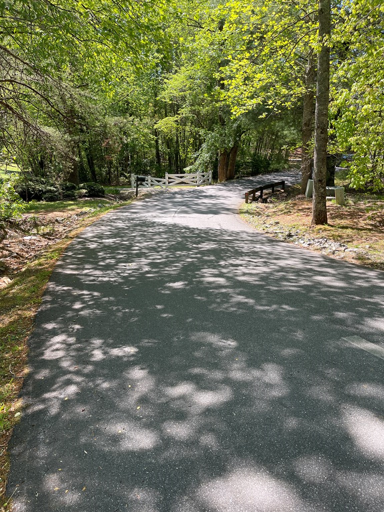 Lot 71A Licklog Ridge, Hayesville, NC 28904 - #3