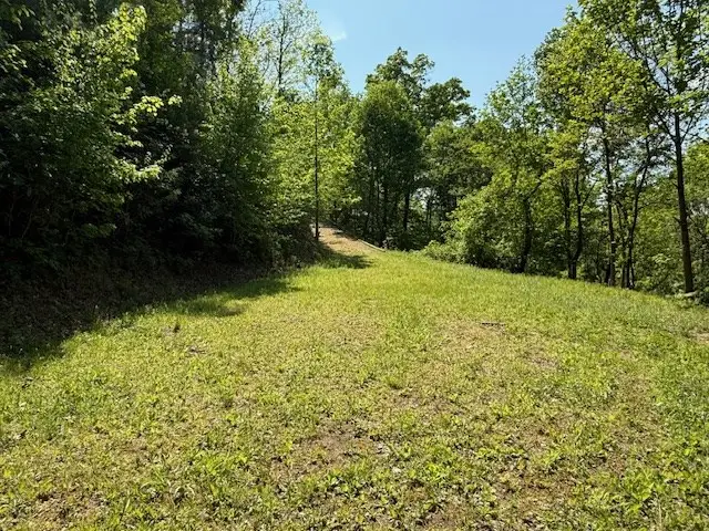 Lot 43 Silo View, Marble, NC 28905 - #2
