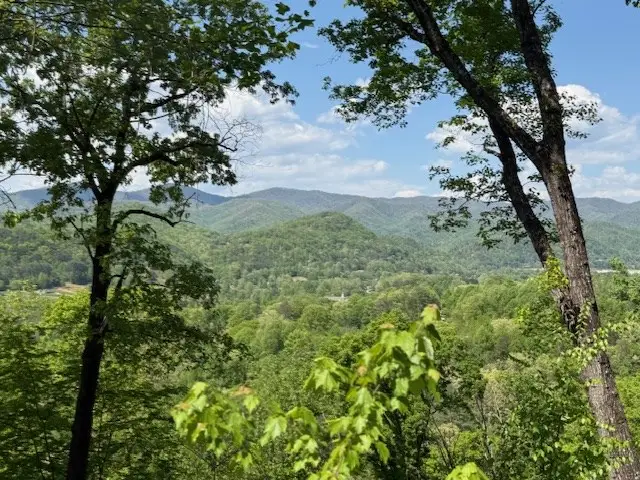 Lot 43 Silo View, Marble, NC 28905 - #3