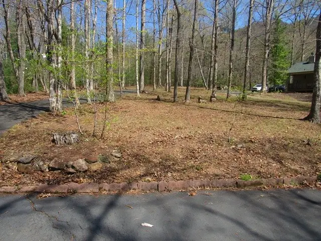 693 Puett Cove, Valleytown, NC 28960 - #3