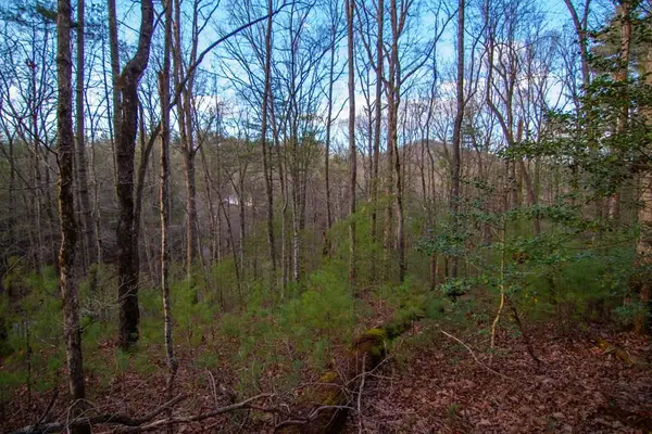 Lot 1 Rock Creek, Cherry Log, GA 30522
