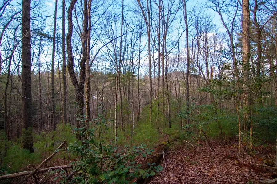 Lot 1 Rock Creek, Cherry Log, GA 30522 - #2
