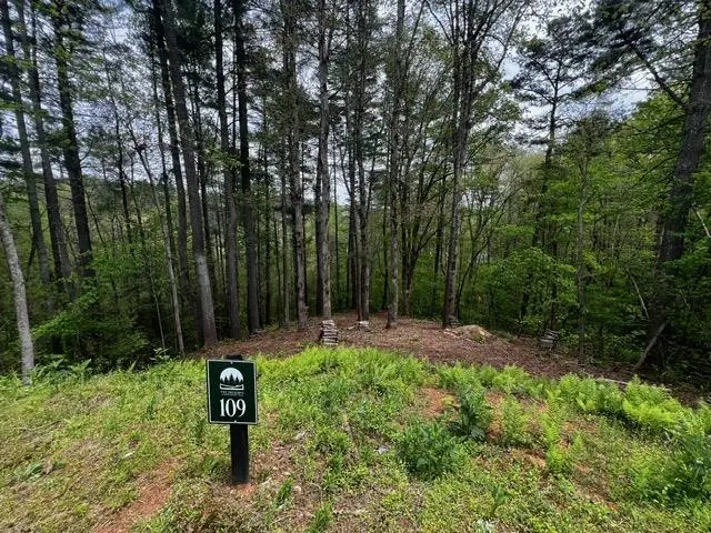 109R Red Oak Trail, Ellijay, GA 30540 - #1