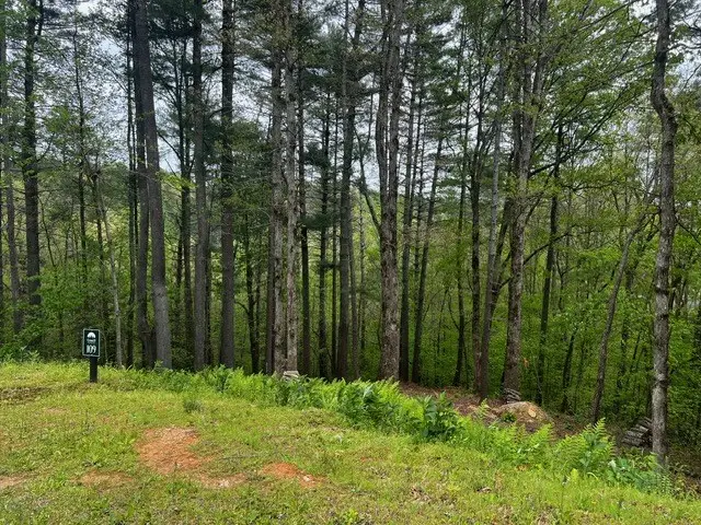 109R Red Oak Trail, Ellijay, GA 30540 - #2