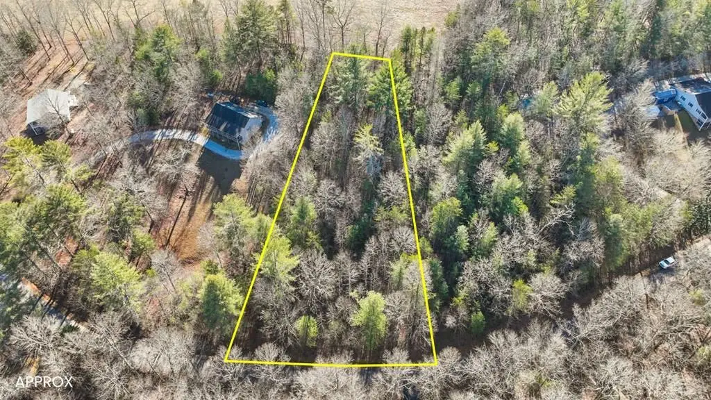 Lot 17 Stacy Lane, Blairsville, GA 30512 - #1