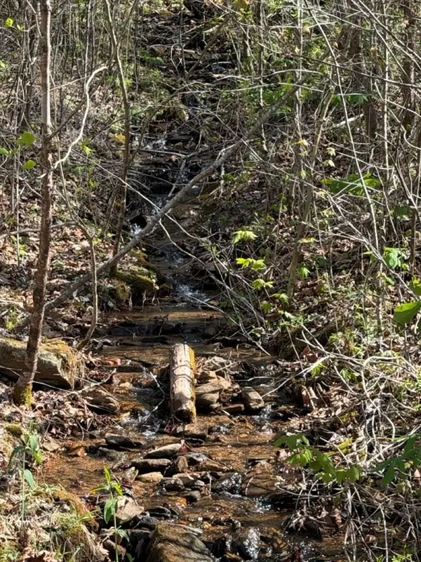 Lt 16N High Meadows Drive, Hayesville, NC 28904