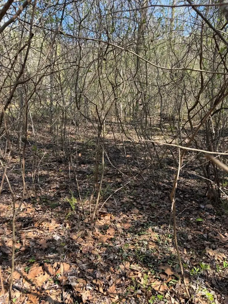 Lt 16N High Meadows Drive, Hayesville, NC 28904 - #2