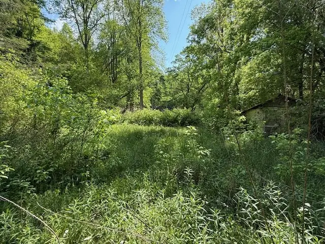 80 Tater Creek Road, Murphy, NC 28906 - #2