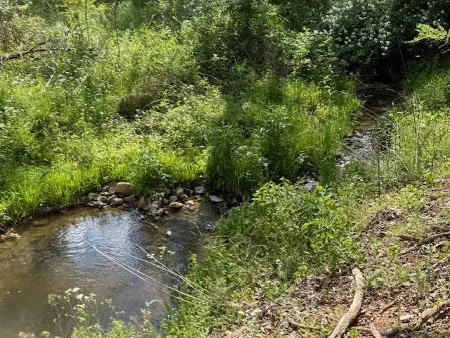 80 Tater Creek Road, Murphy, NC 28906 - #3