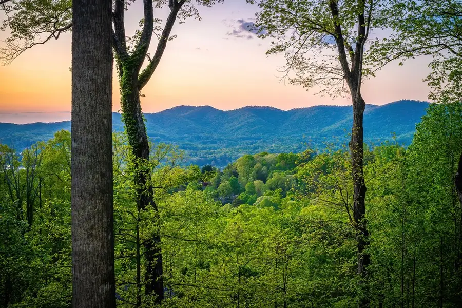 288 Sunny View Drive, Blairsville, GA 30512 - #3