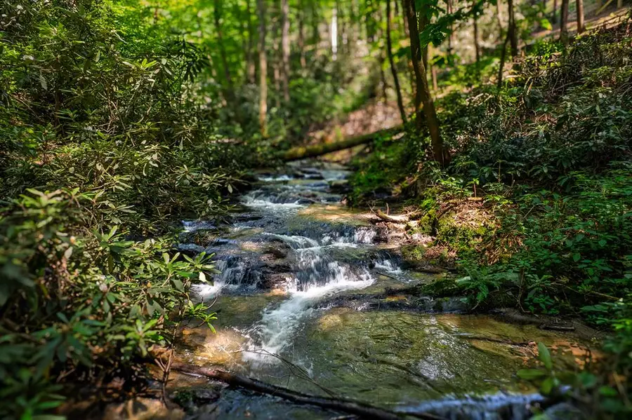 122 Laurel Creek Drive, Cherry Log, GA 30522 - #3