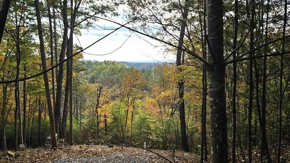 Lot 157 Roaring Forks Lane, Ellijay, GA 30540 - #1