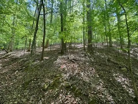 Lot 1972 Nancy Court, Ellijay, GA 30540 - #1