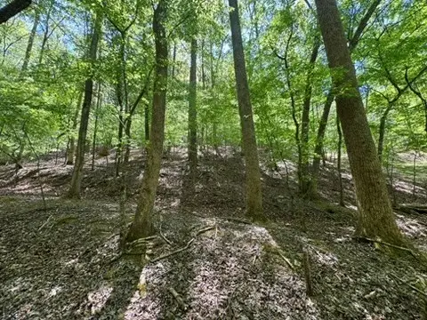 Lot 1972 Nancy Court, Ellijay, GA 30540 - #3