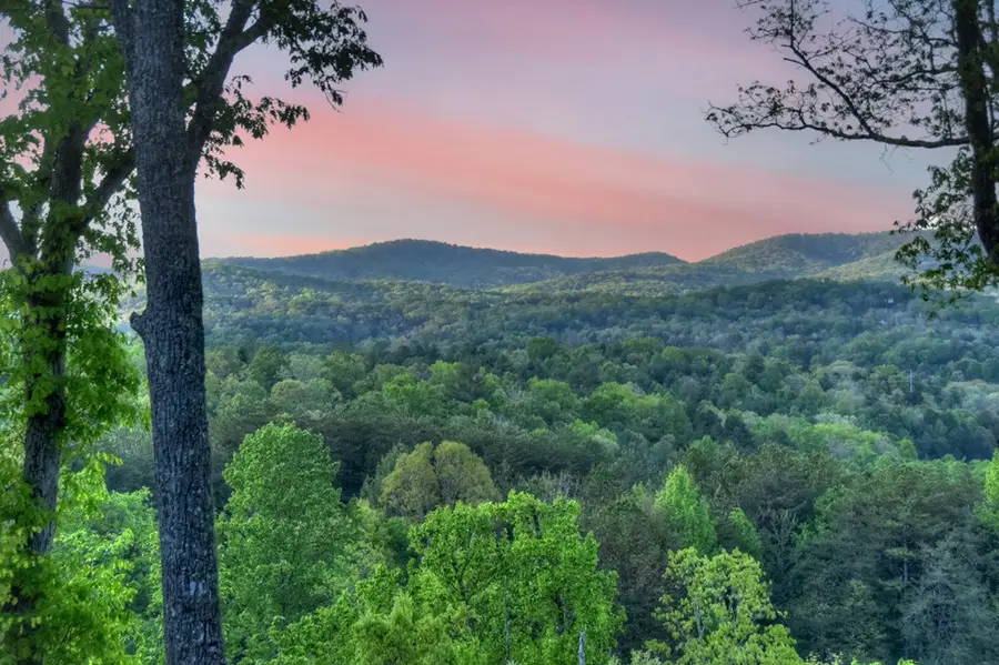 329 Robinson Thomas Road, Morganton, GA 30560 - #3