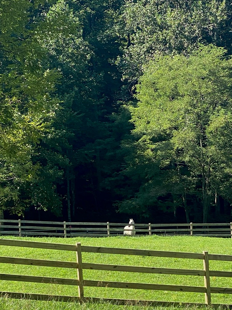 Tract 3 Doublehead Gap Road, Blue Ridge, GA 30513 - #3