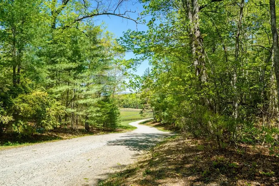 Lot 35 Spring Camp Road, Ellijay, GA 30536 - #2