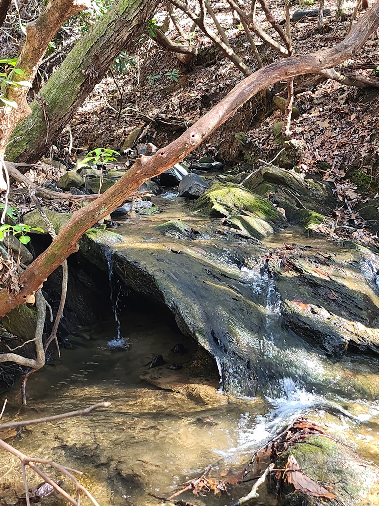 8 acres Liberty Hill Road, Morganton, GA 30560 - #2