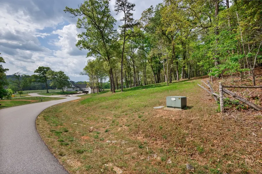 Lot 29 Open Water Lane, Blairsville, GA 30512 - #3