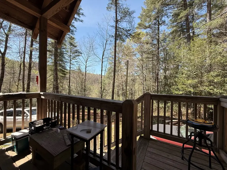 306 Jacks River Road, Blue Ridge, GA 30513 - #3