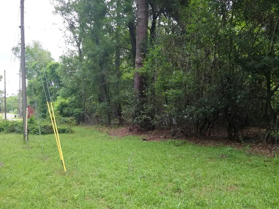 703 Parrish Avenue, Sparta, GA 30612 - #3