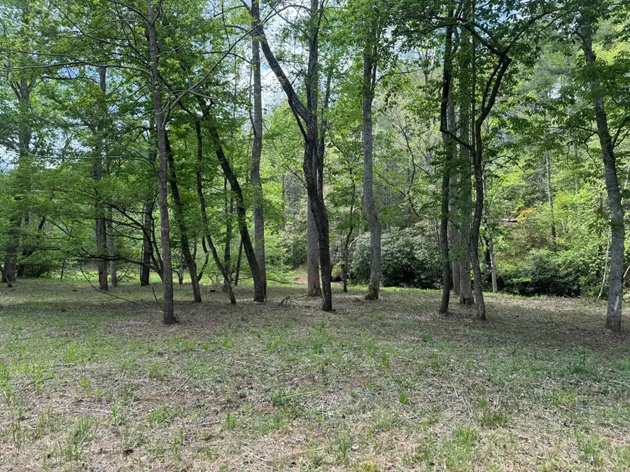 Lot 5 Double Creek Drive, Suches, GA 30572 - #2