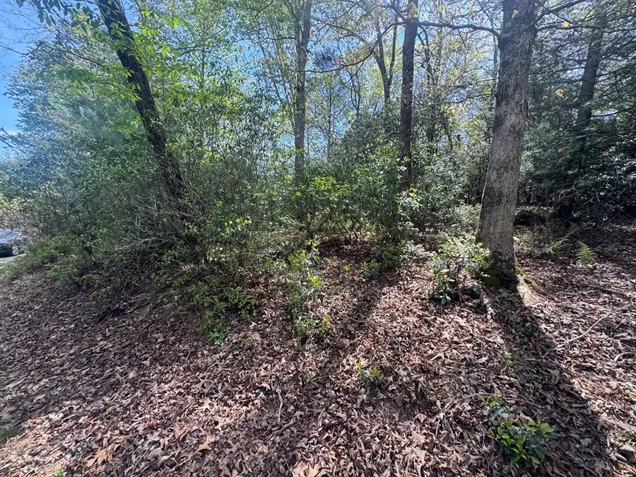 Lot 25 White Pine Trail, Suches, GA 30572 - #2
