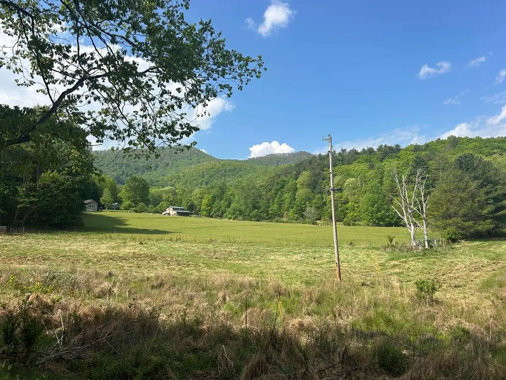 10 ac Pleasant Valley Lane, Blairsville, GA 30512 - #1