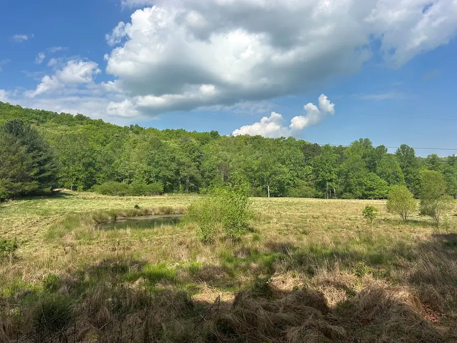 10 ac Pleasant Valley Lane, Blairsville, GA 30512 - #2