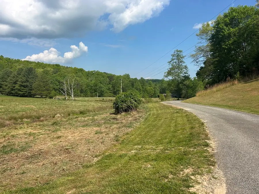 10 ac Pleasant Valley Lane, Blairsville, GA 30512 - #3
