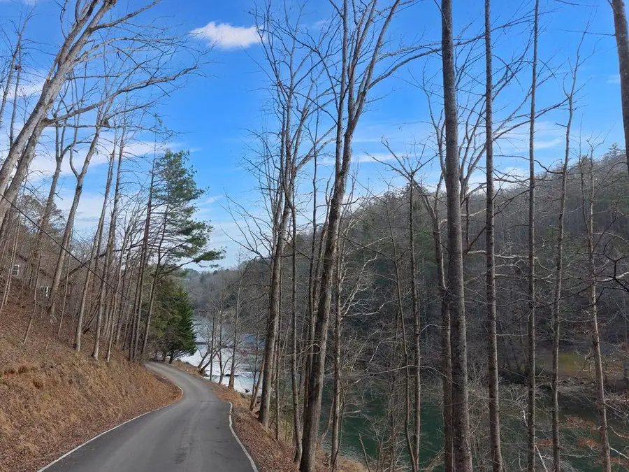 Lot 2965 Monticello Drive, Ellijay, GA 30540 - #2
