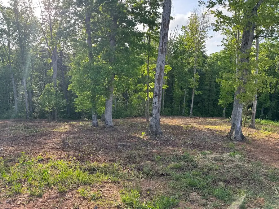 Lot 8 Mystic Drive, Ellijay, GA 30540 - #2