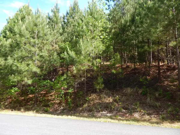 #361 The Cove At Thirteen Hundred, Blairsville, GA 30512