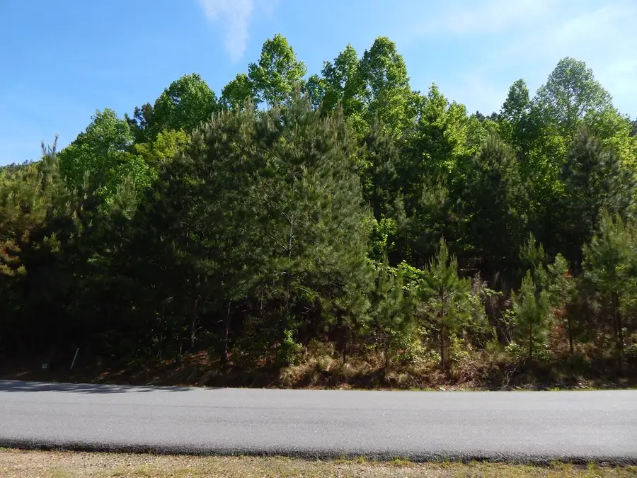 #361 The Cove At Thirteen Hundred, Blairsville, GA 30512 - #2