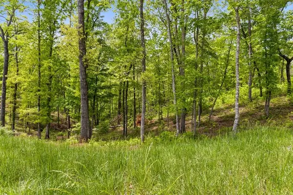 Lot 39 Jakes Landing Way, Ellijay, GA 30540
