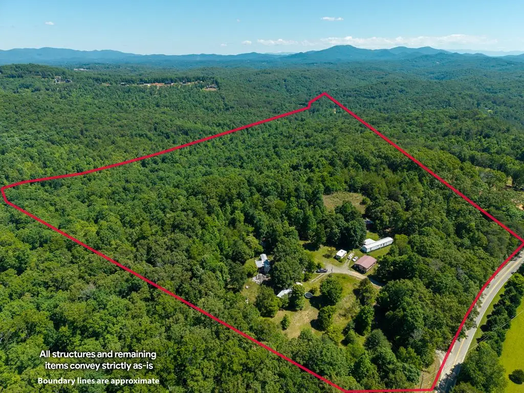 46 Green Kirby Lane, Blue Ridge, GA 30513 - #1