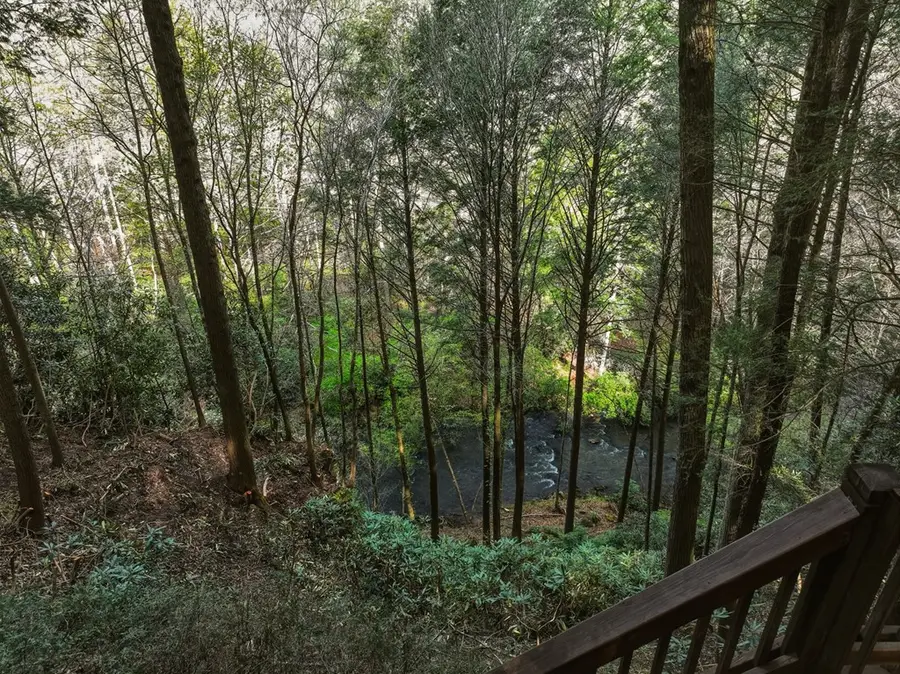 58 River Road, Cherry Log, GA 30522 - #3