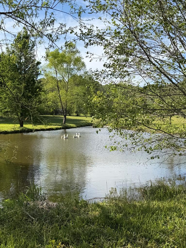 0 Barnett Road, Murphy, NC 28906