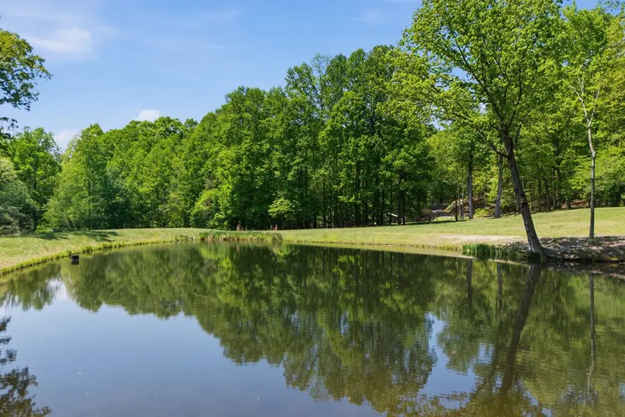 1837 Deep South Farm Road, Blairsville, GA 30512 - #3