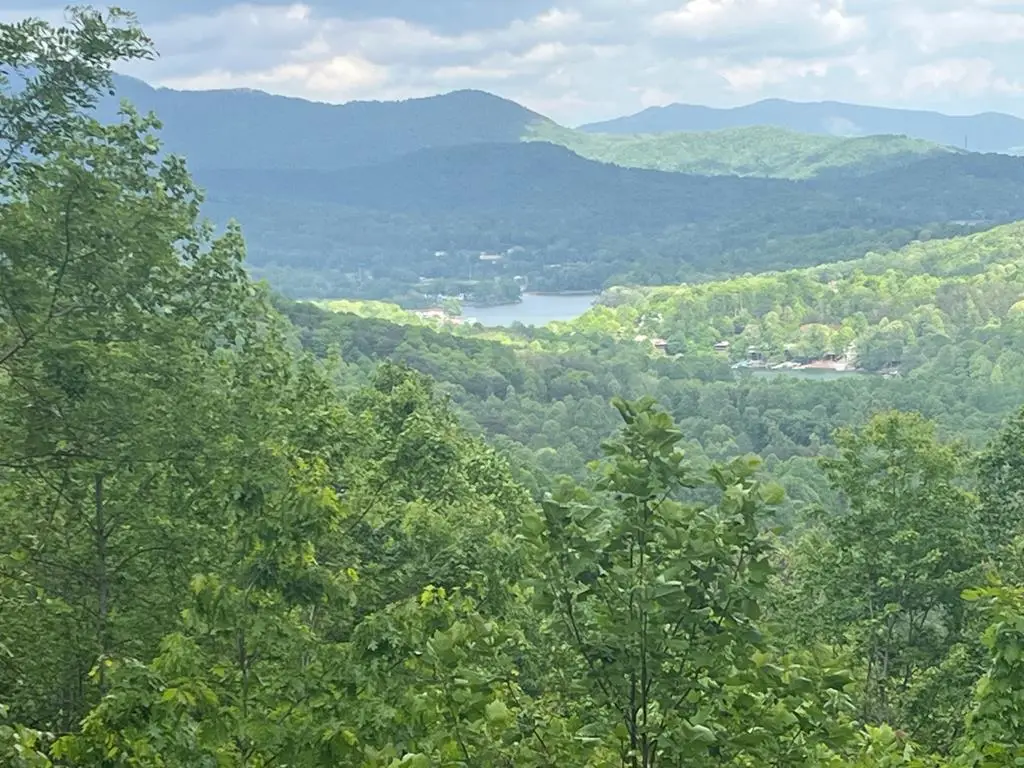Lot 10 Summit Trail, Hiawassee, GA 30546 - #1