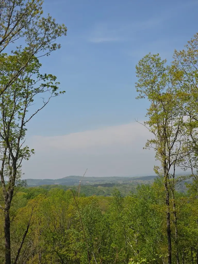 Lot 105 Twisted Oak Road, Talking Rock, GA 30175 - #2