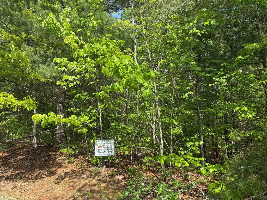 None Sunrise Valley Road, Blue Ridge, GA 30513 - #1