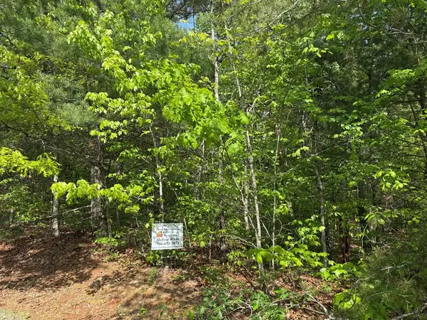 None Sunrise Valley Road, Blue Ridge, GA 30513