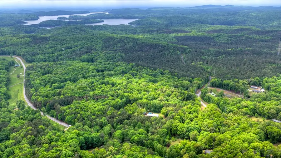 5.043 Ac W Hwy 382, Ellijay, GA 30540 - #2