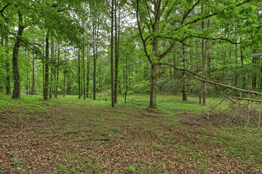 5.043 Ac W Hwy 382, Ellijay, GA 30540 - #3